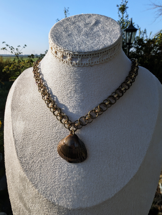 Relic of the Selkies