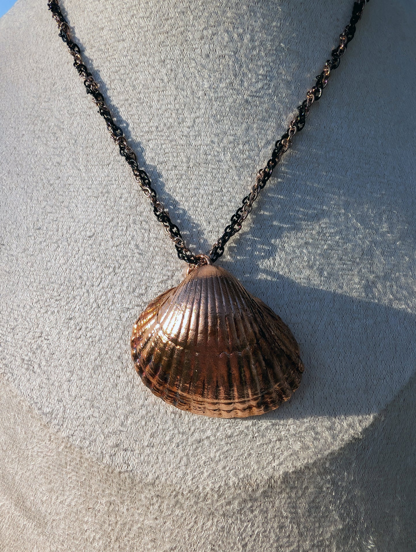Shellbound