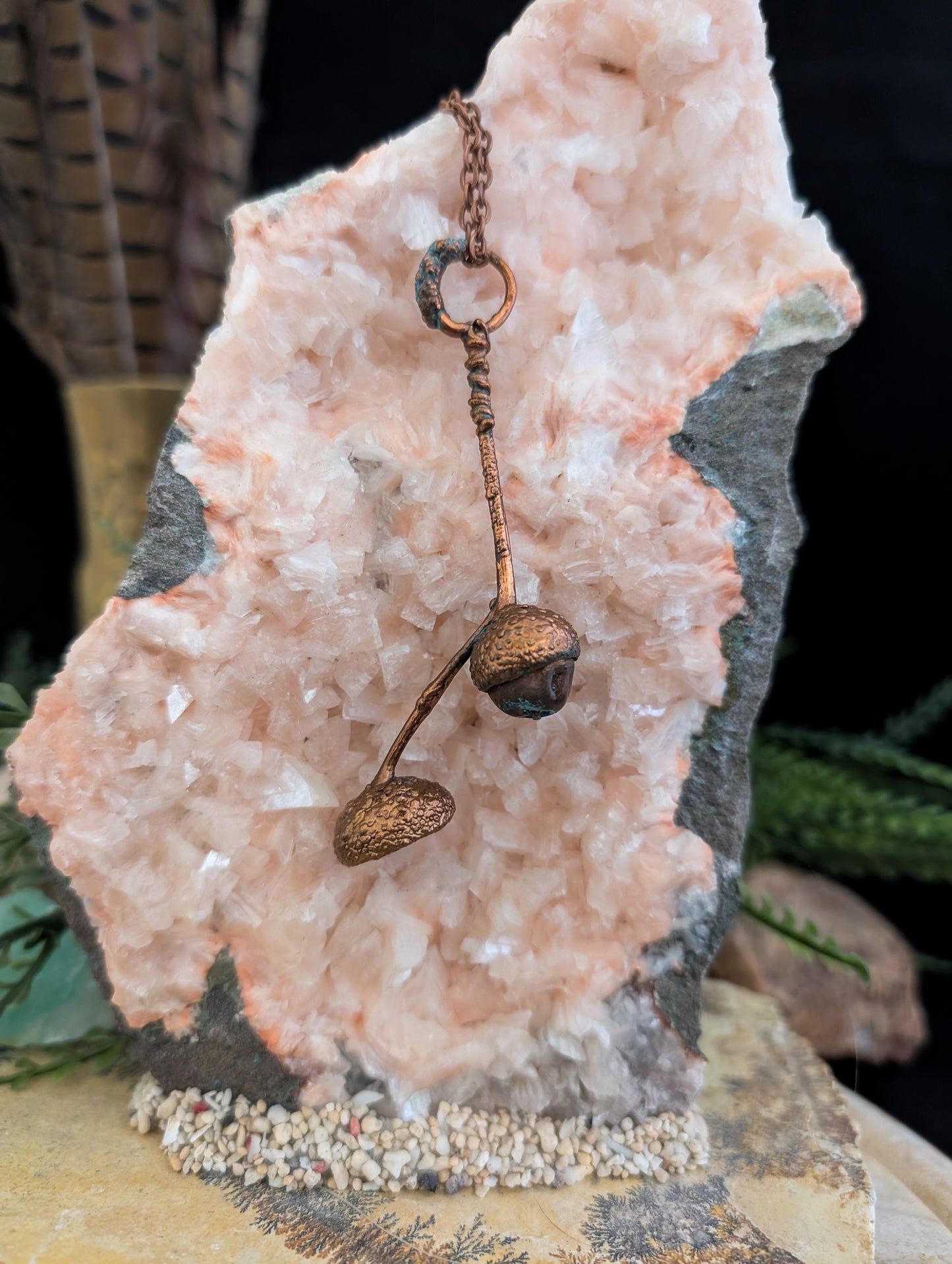 Acorn — Cap & Stem Study (Specimen No. 003)