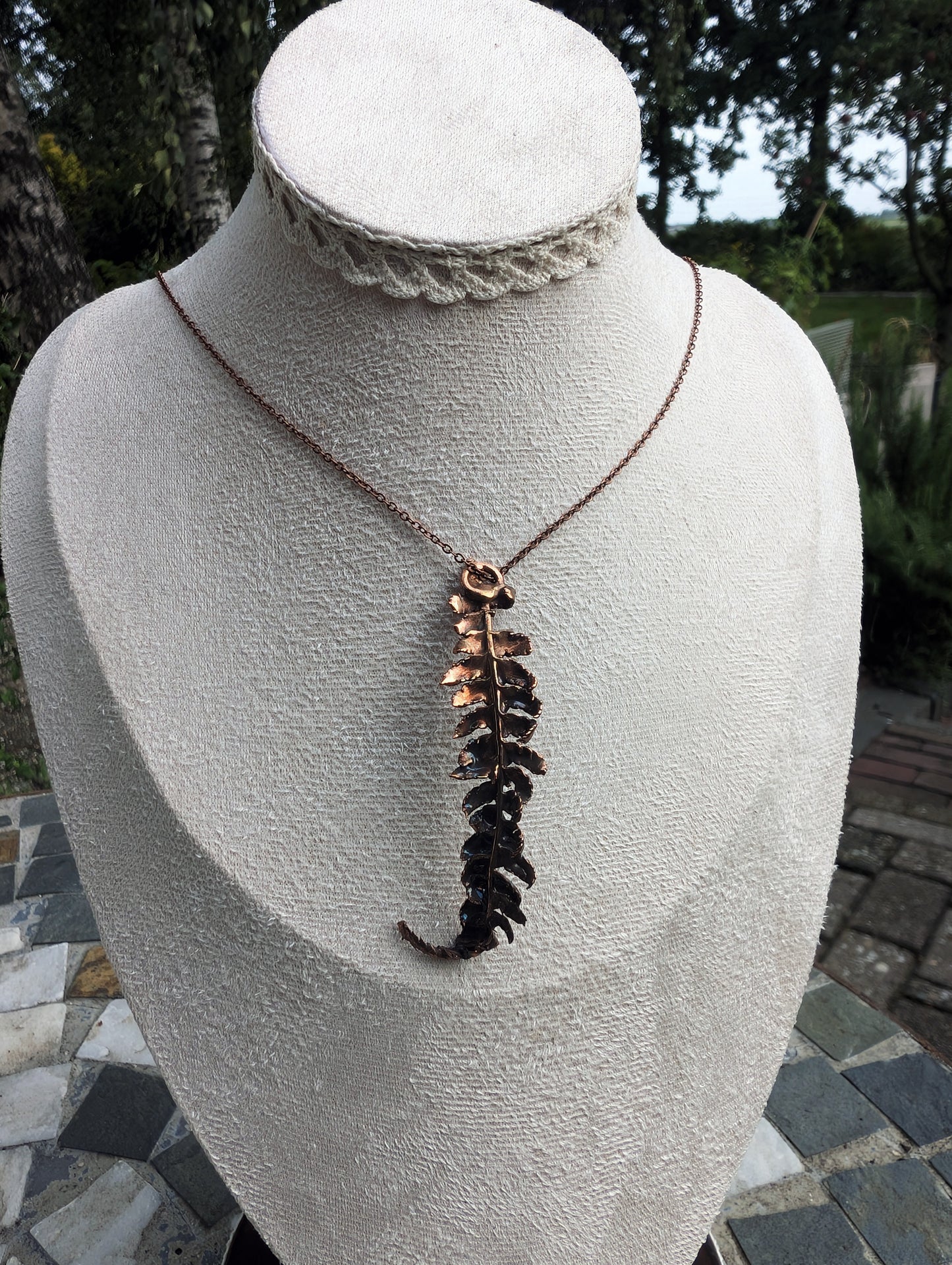 The Alchemist’s Fern