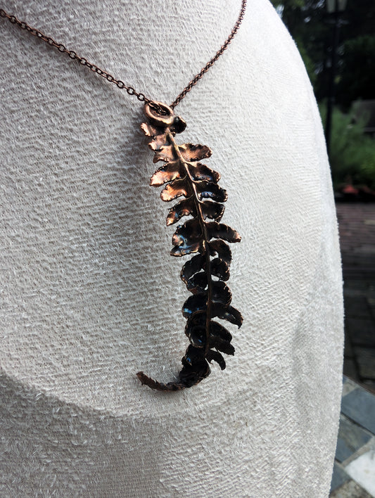 The Alchemist’s Fern