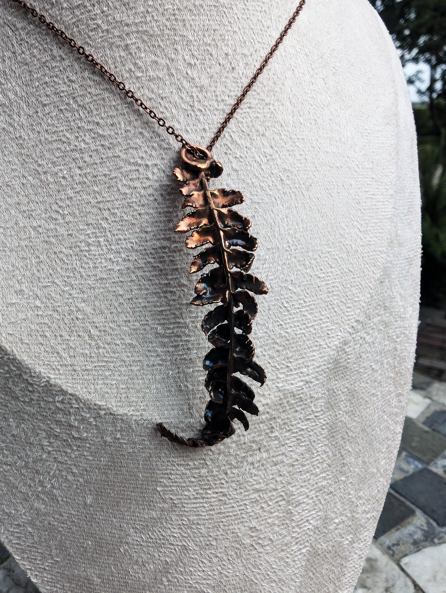 The Alchemist’s Fern