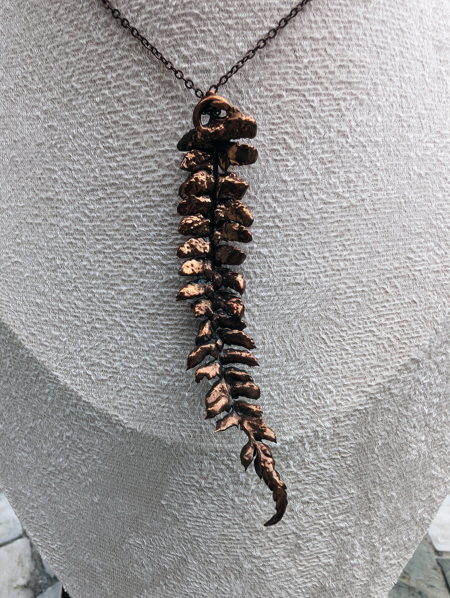 The Alchemist’s Fern