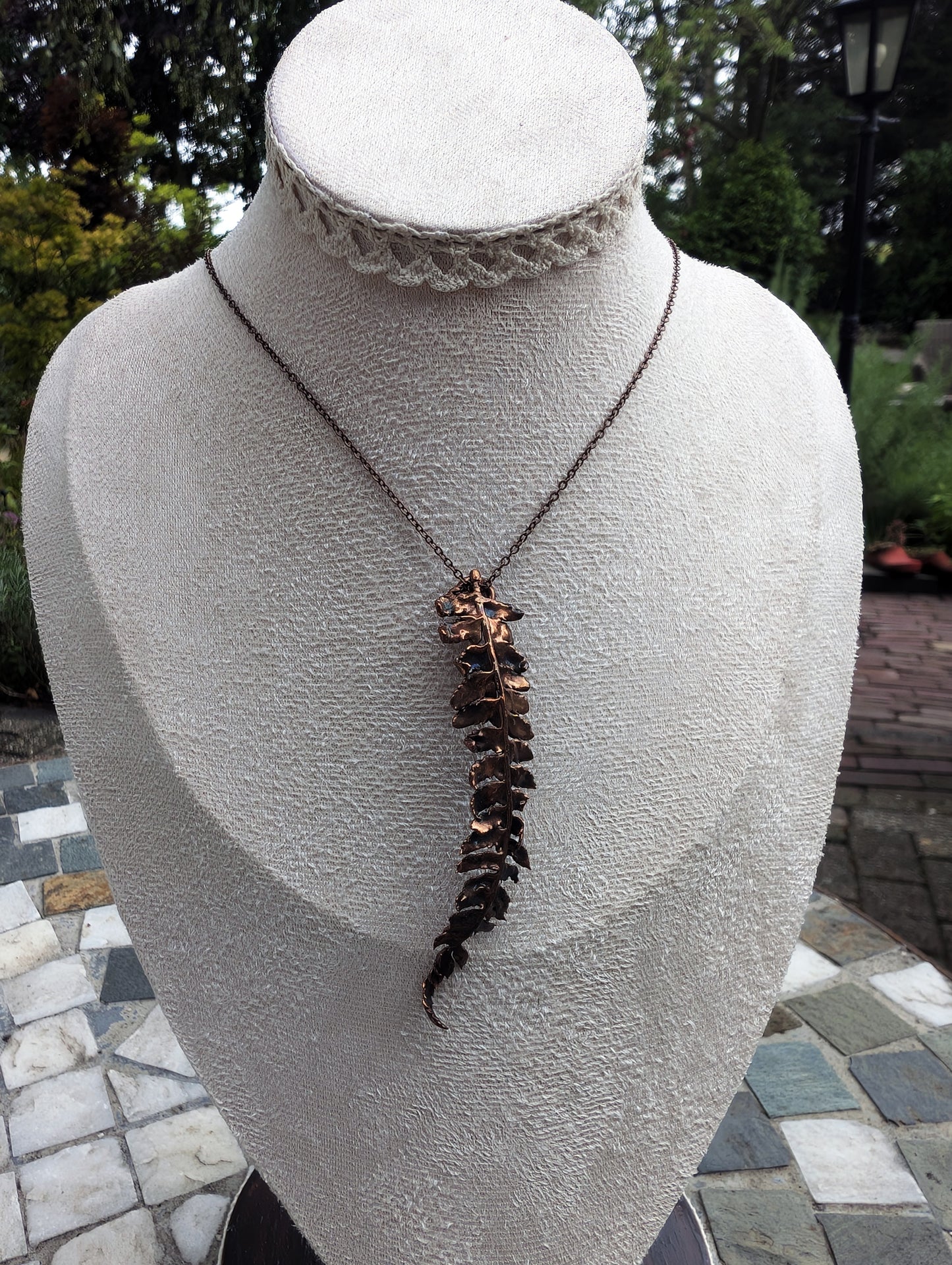 The Alchemist’s Fern