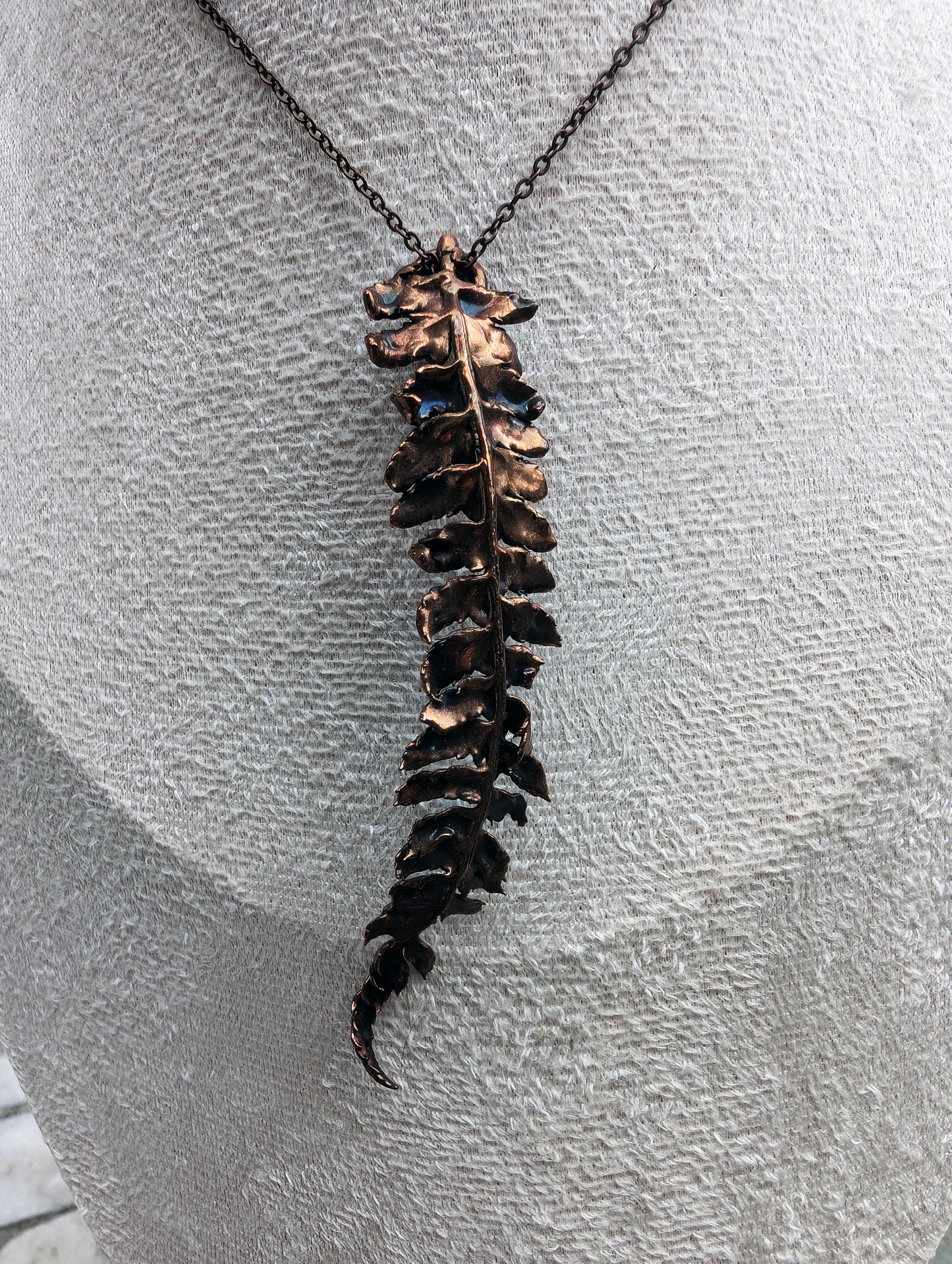 The Alchemist’s Fern