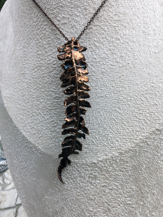 The Alchemist’s Fern