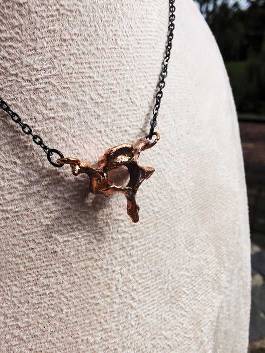 The Spine of Revival