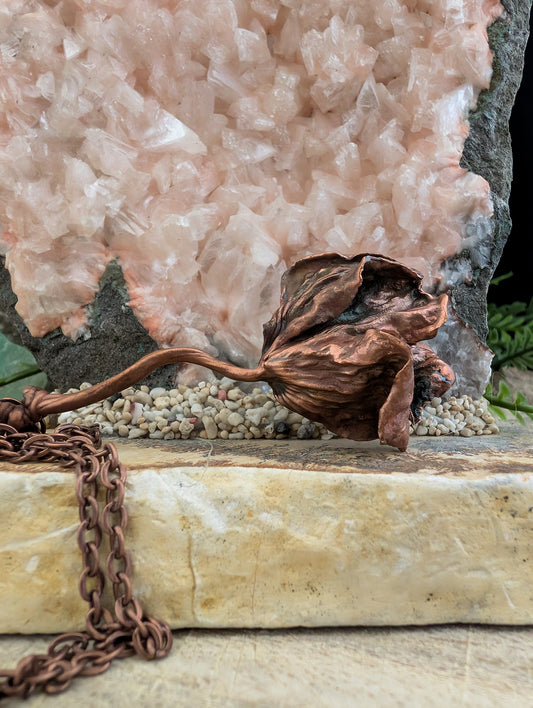 The Star-Crossed Rose