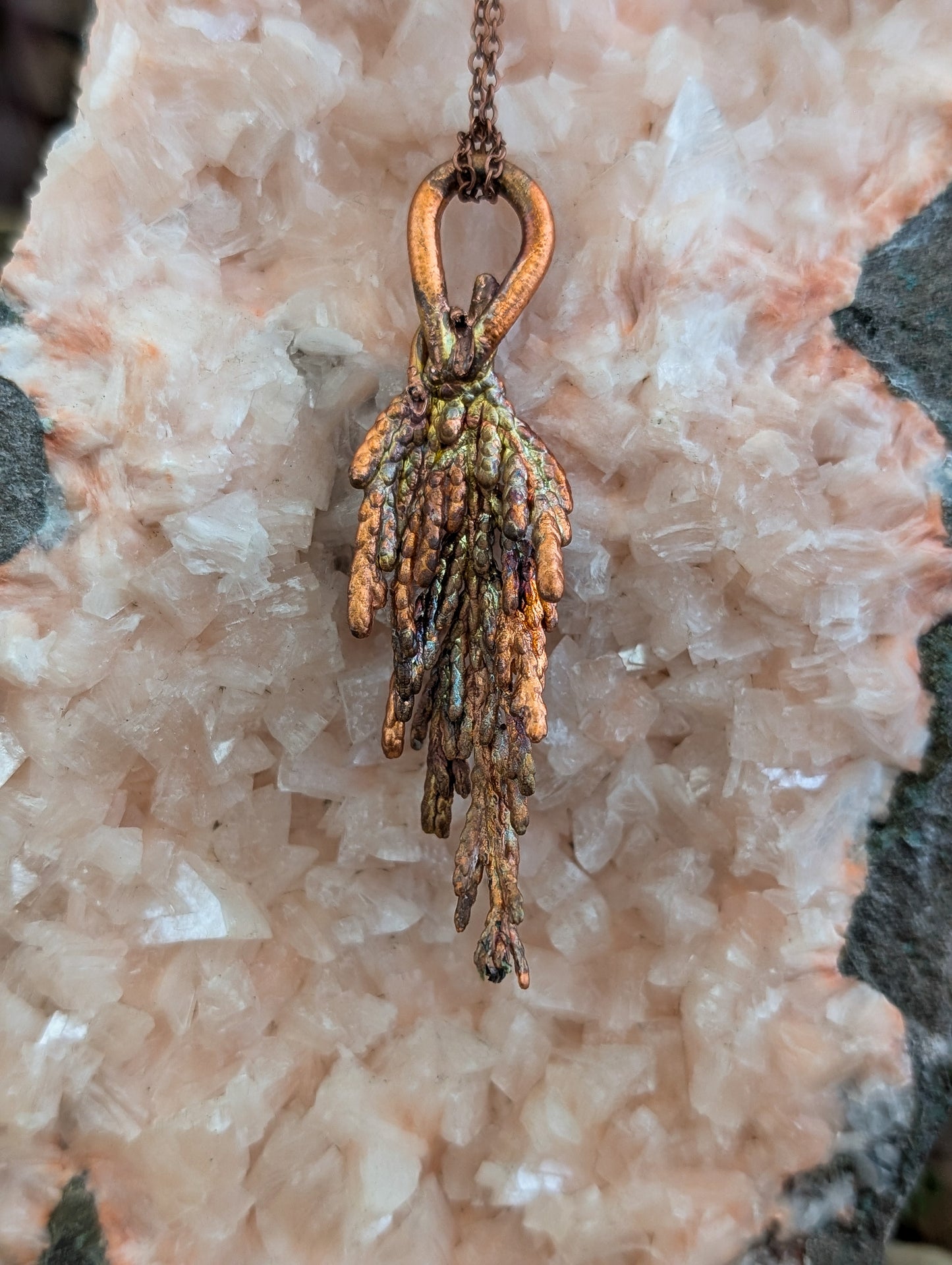 Conifer — Needle Cluster Study (Specimen No. 004)
