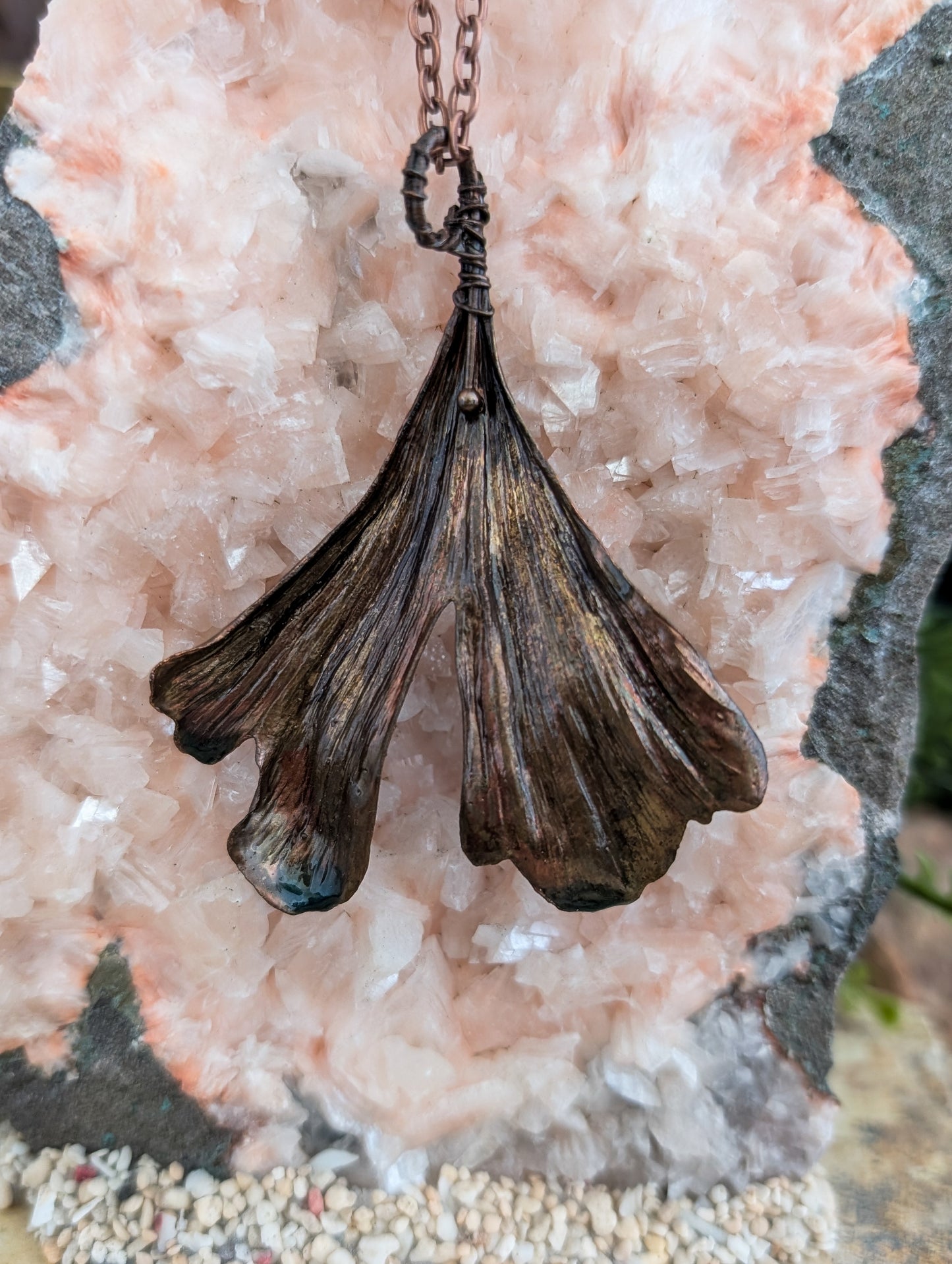 Ginkgo — Fanleaf Study (Specimen No. 006)