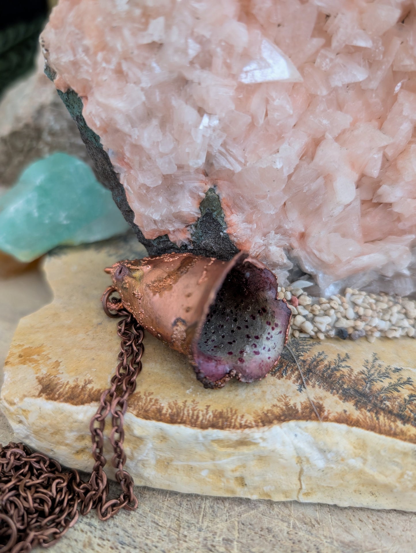 Vingerhoedskruid — Klokbloemstudie (Specimen Nr. 002)