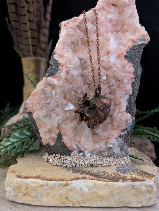 Acorn — Aberrant Seed Form (Specimen No. 001)