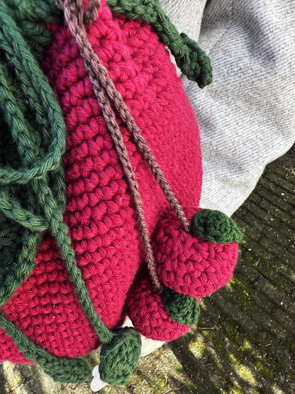 Ruby Raspberry Bag