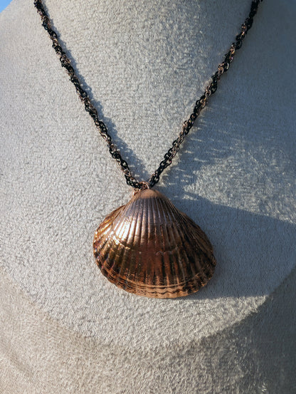 Shellbound