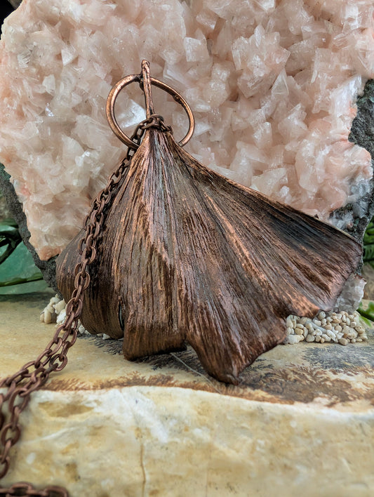 Ginkgo — Fanleaf Study (Specimen No. 009)