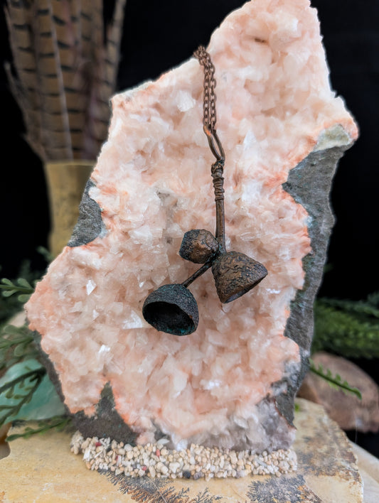 Acorn — Cap & Stem Study (Specimen No. 002)