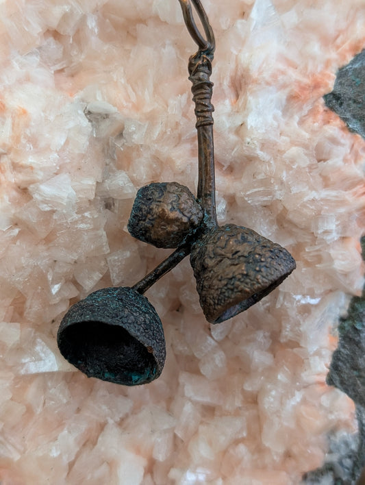 Acorn — Cap & Stem Study (Specimen No. 002)