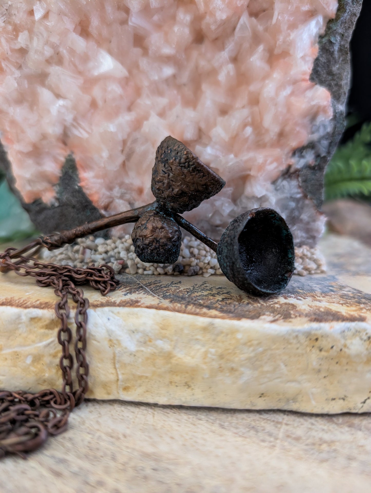Acorn — Cap & Stem Study (Specimen No. 002)