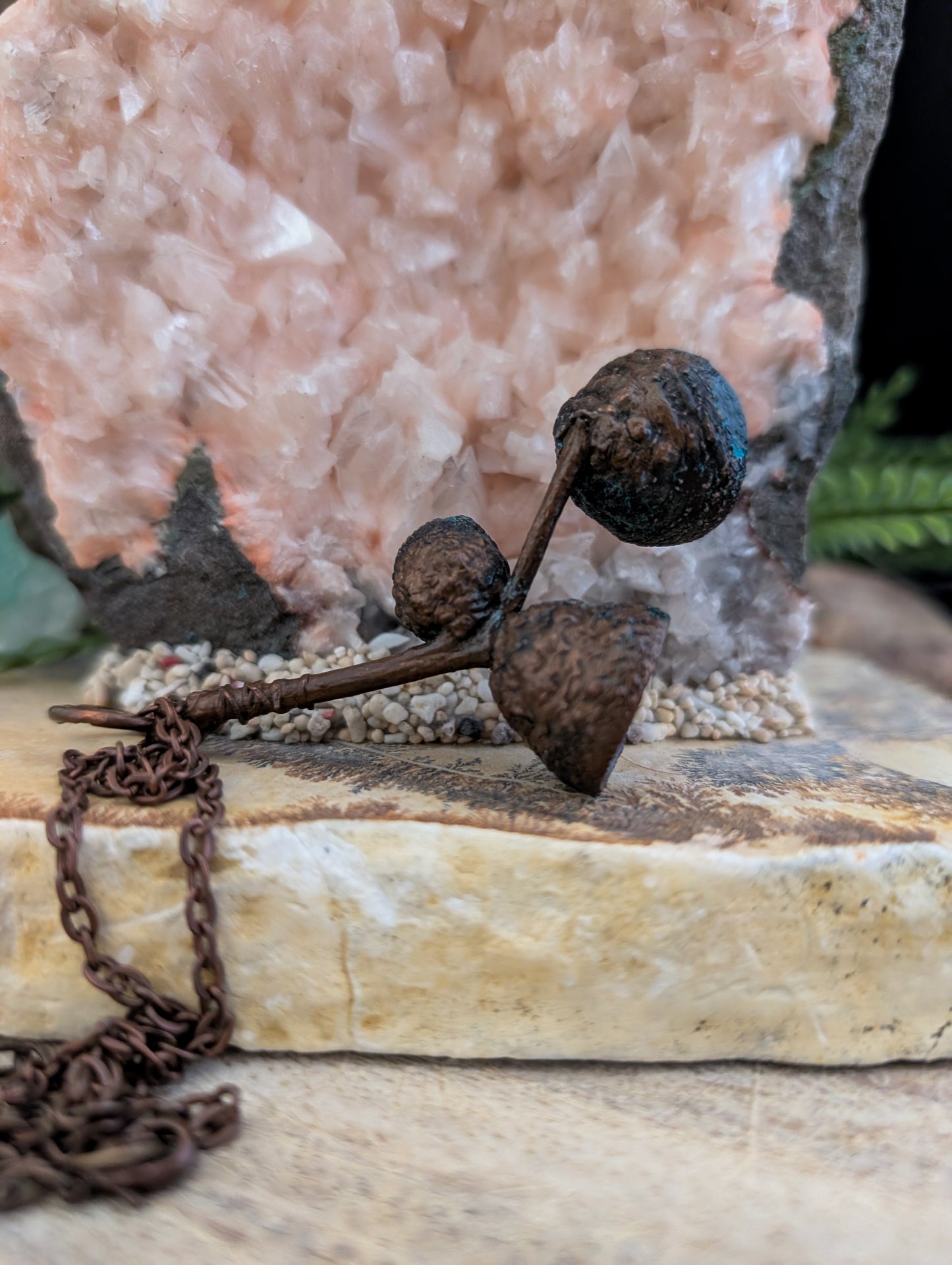 Acorn — Cap & Stem Study (Specimen No. 002)
