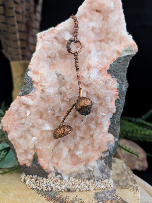 Acorn — Cap & Stem Study (Specimen No. 003)