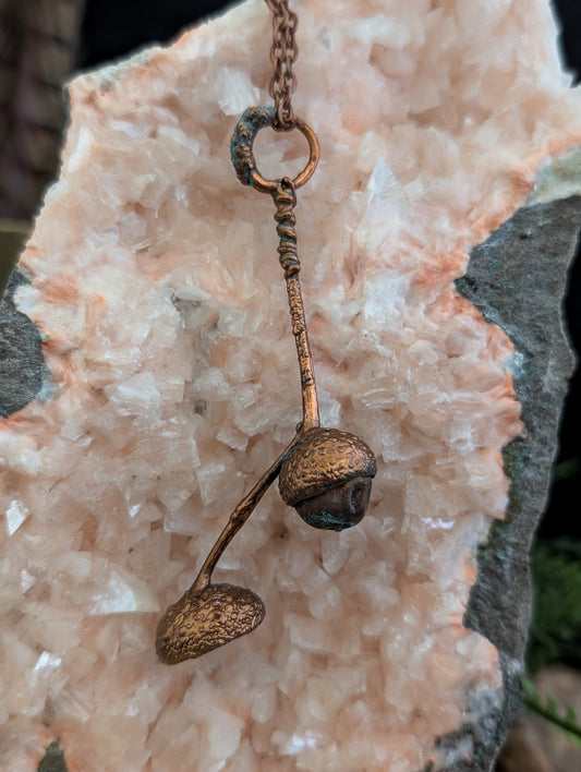 Acorn — Cap & Stem Study (Specimen No. 003)