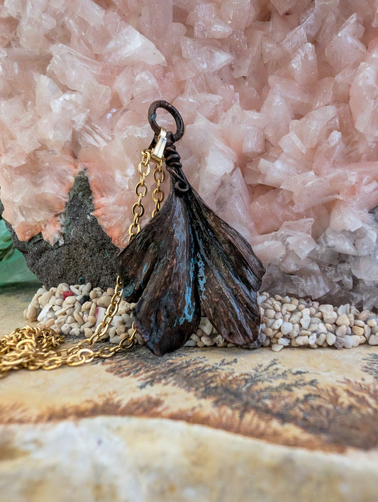 Ginkgo — Fanleaf Study (Specimen No. 008)