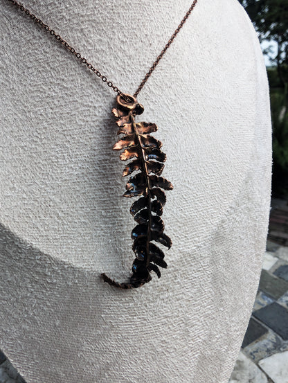 The Alchemist’s Fern