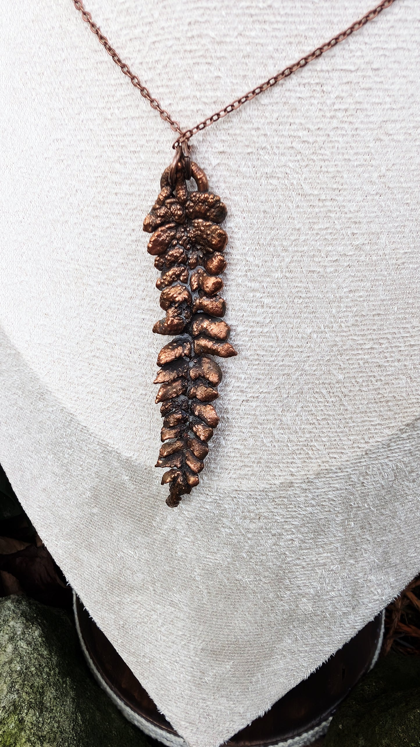 Fern — Frond Study (Specimen No. 002)