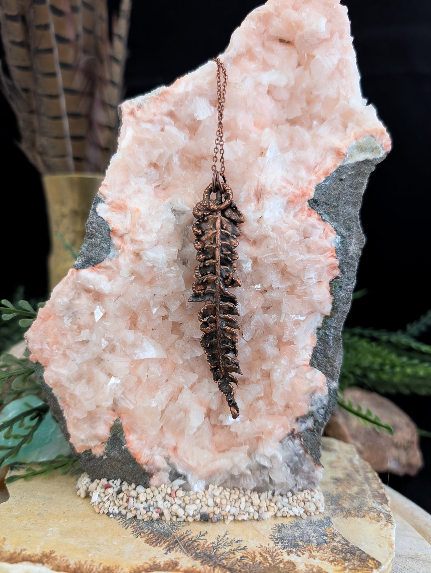 Fern — Frond Study (Specimen No. 002)