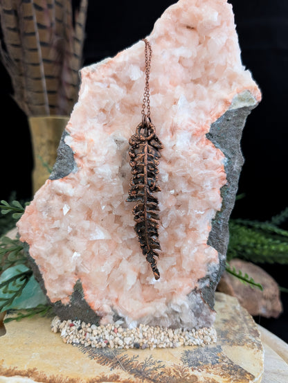 Fern — Frond Study (Specimen No. 002)