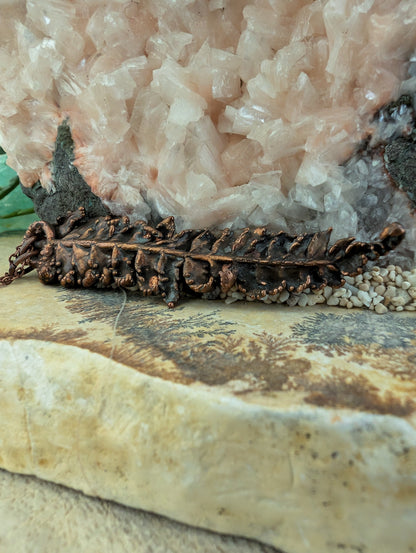 Fern — Frond Study (Specimen No. 002)