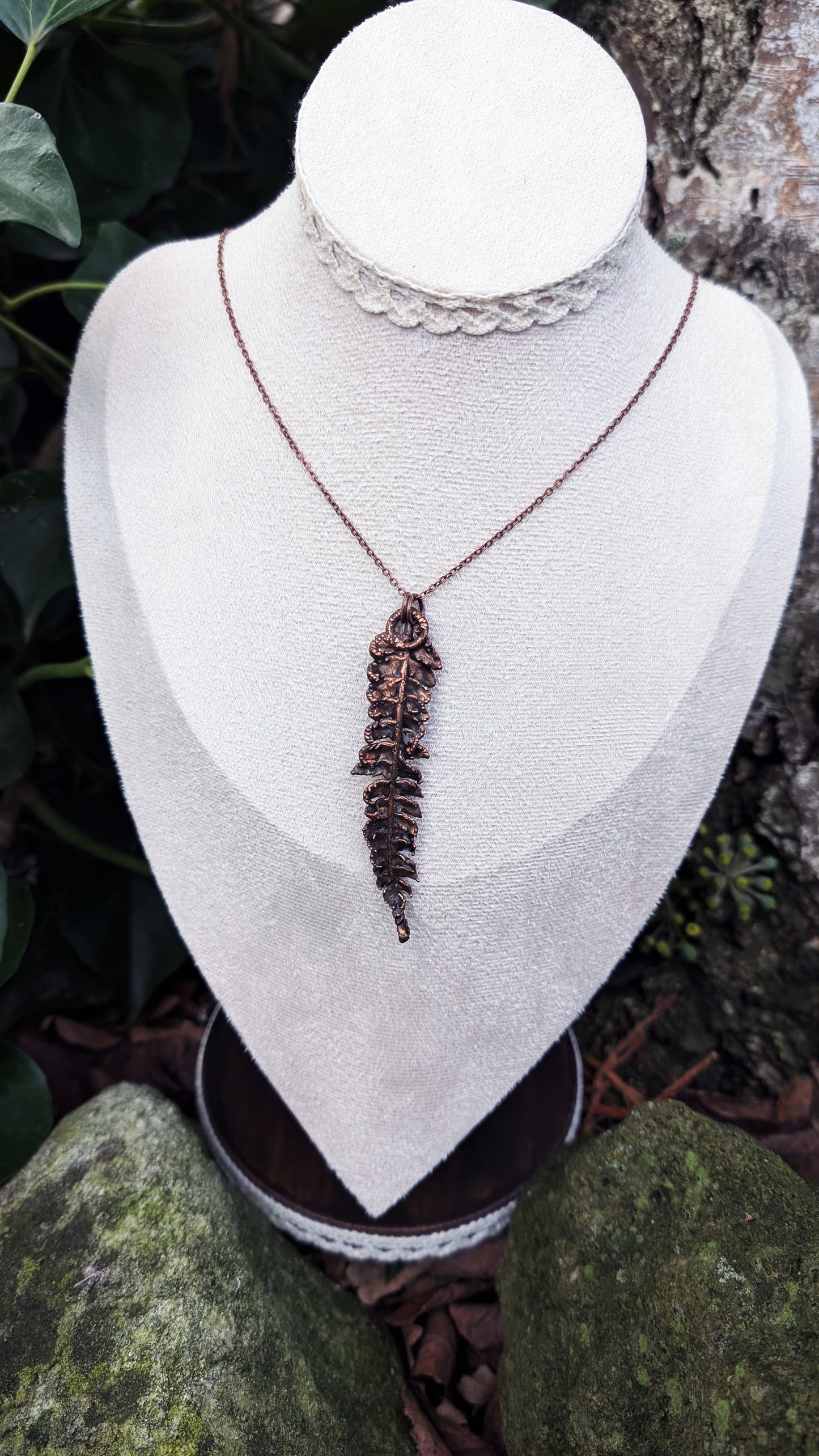 Fern — Frond Study (Specimen No. 002)