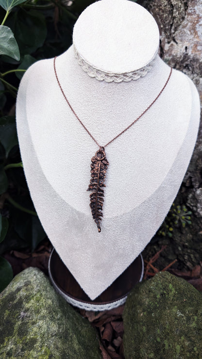 Fern — Frond Study (Specimen No. 002)
