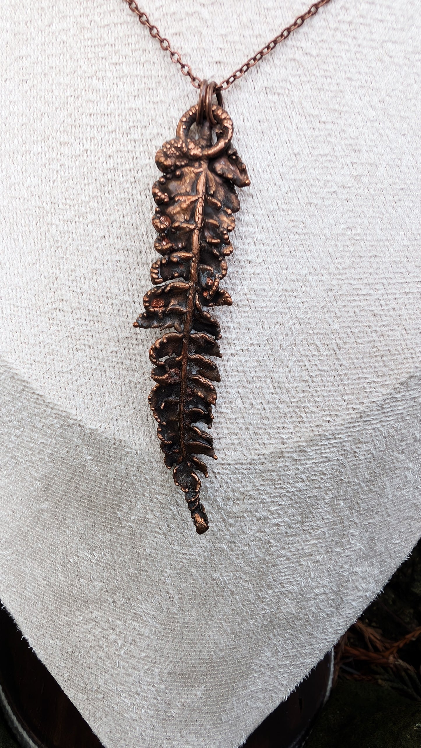 Fern — Frond Study (Specimen No. 002)