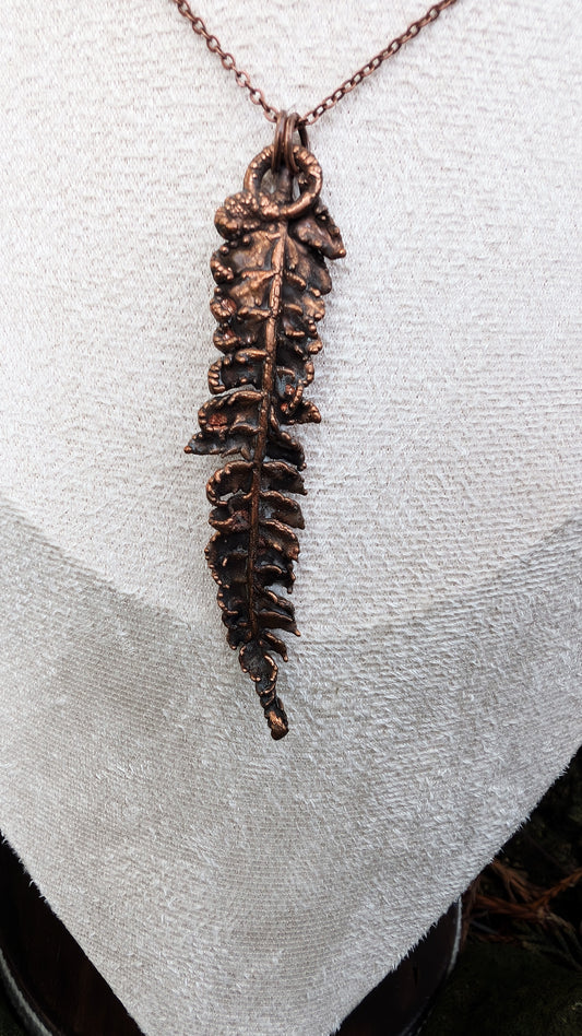 Fern — Frond Study (Specimen No. 002)