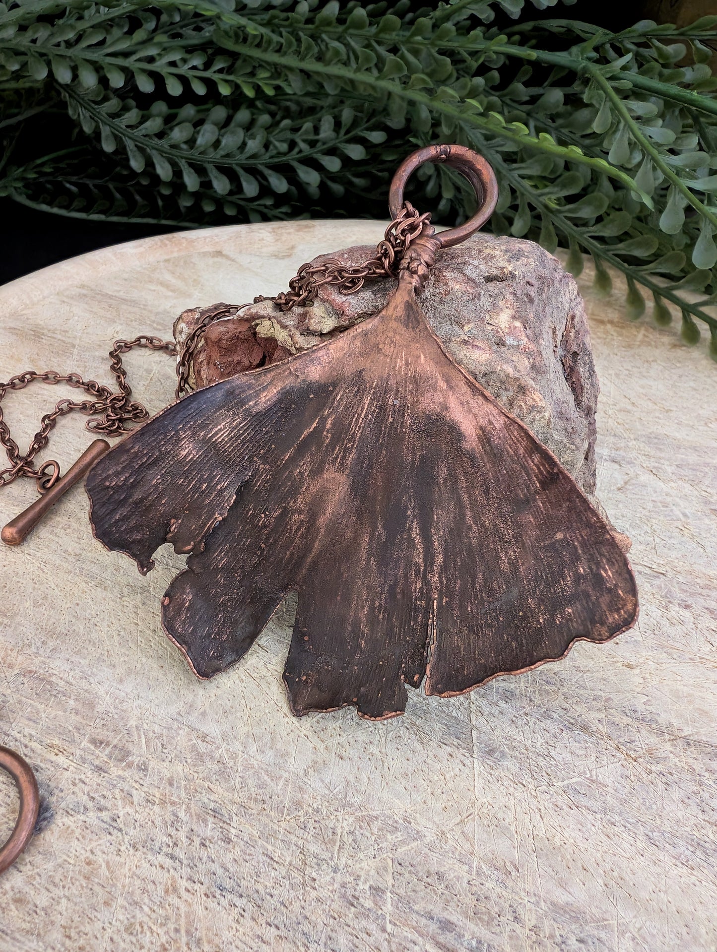 Ginkgo — Fanleaf Study (Specimen No. 002)