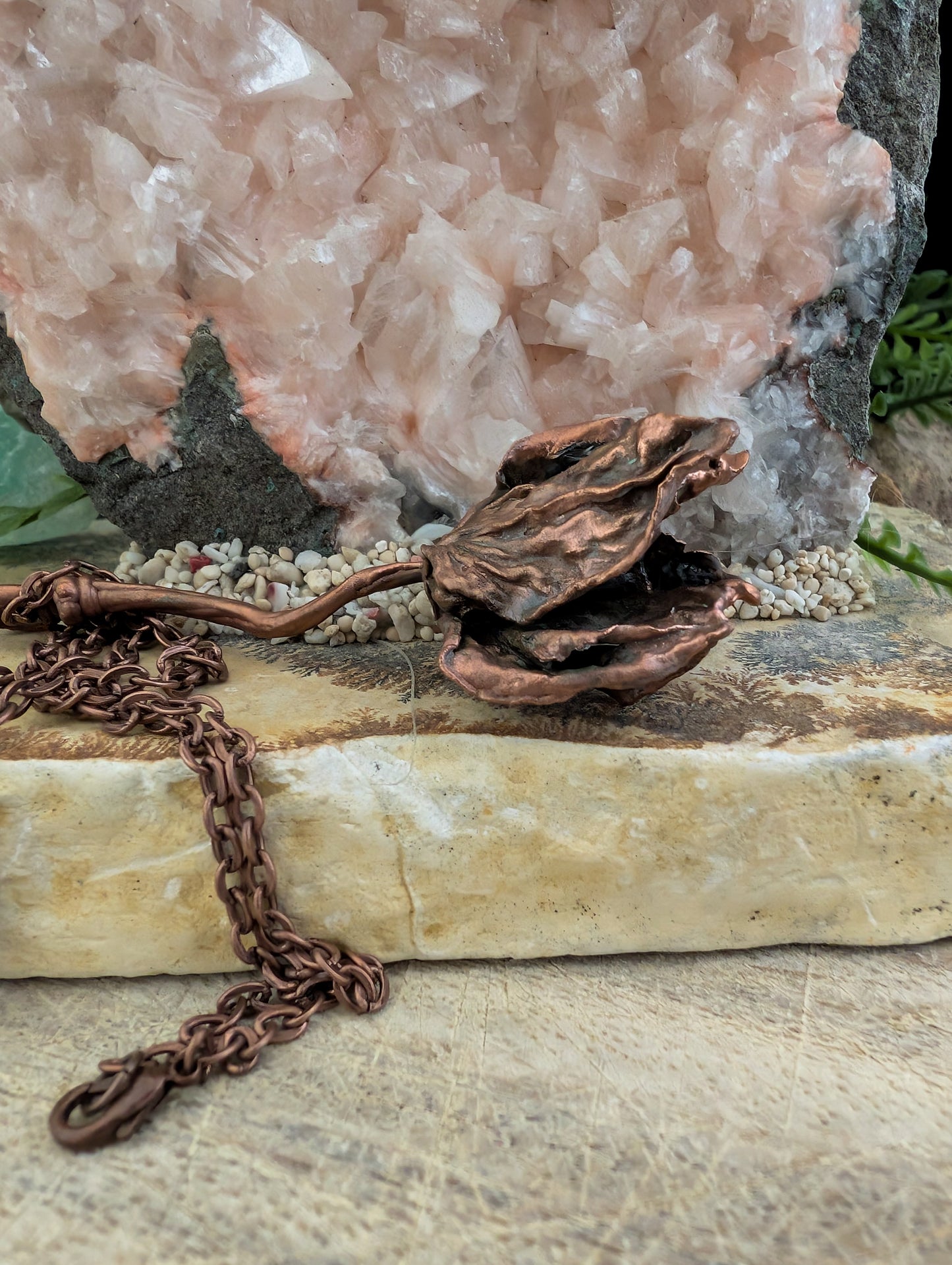The Star-Crossed Rose