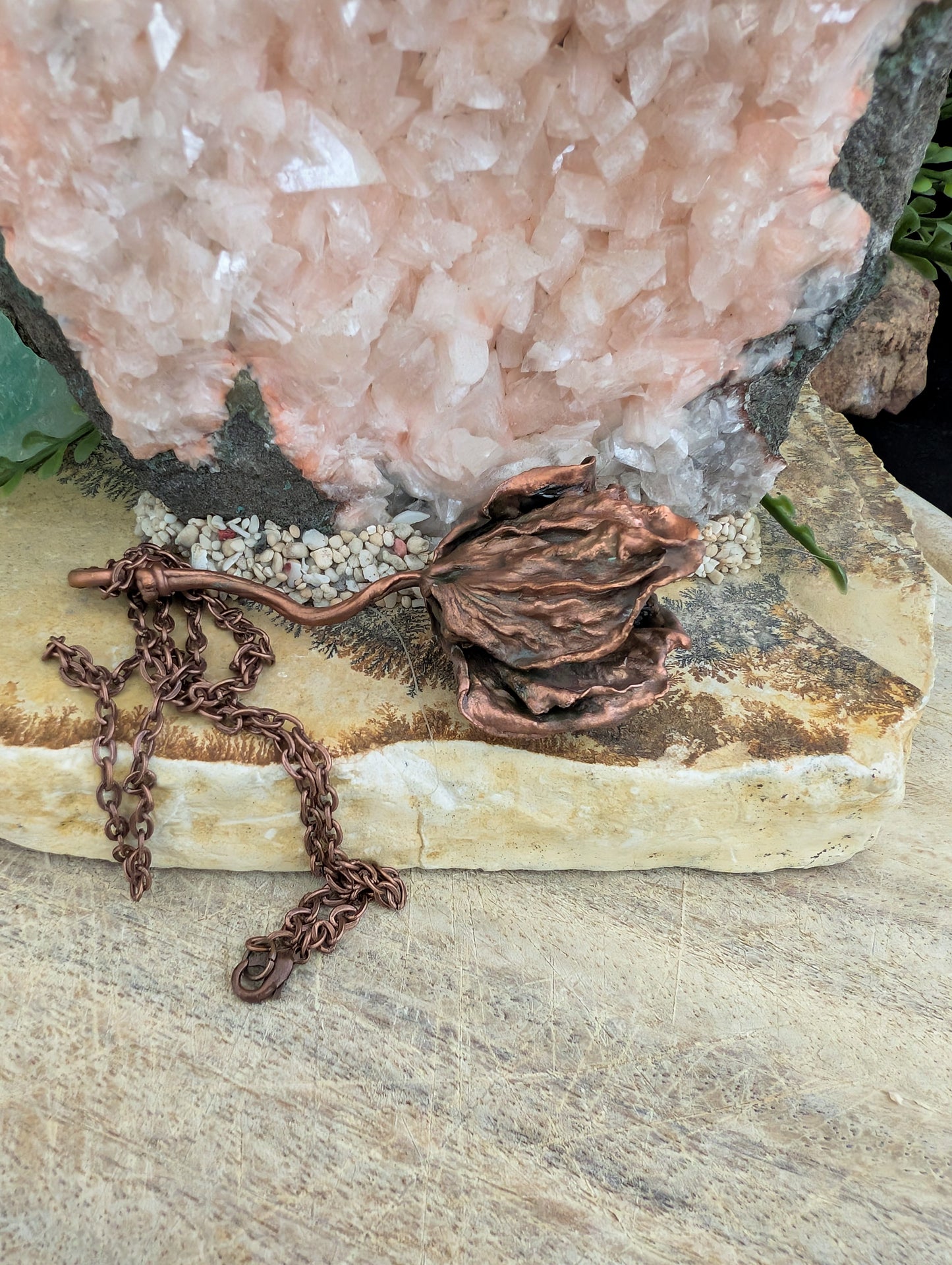 The Star-Crossed Rose