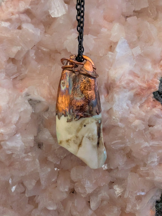 Cow Tooth — Dental Study (Specimen No. 001)