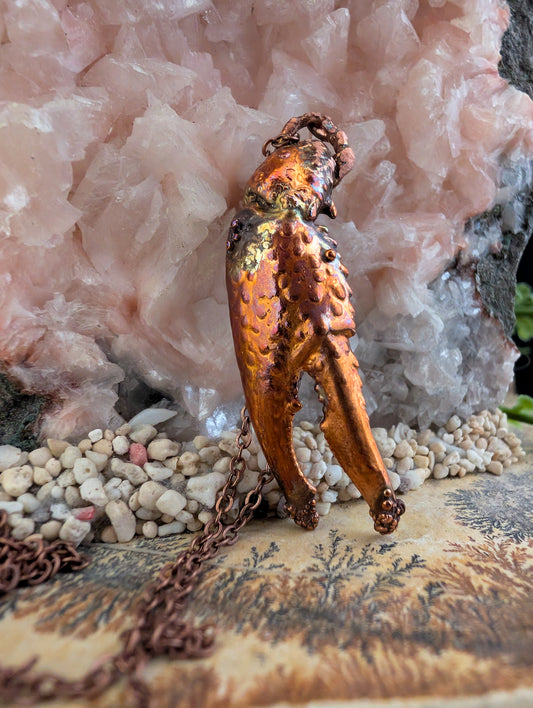 Crayfish Claw — Carapace Fragment (Specimen No. 002)