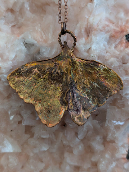 Ginkgo — Fanleaf Study (Specimen No. 003)