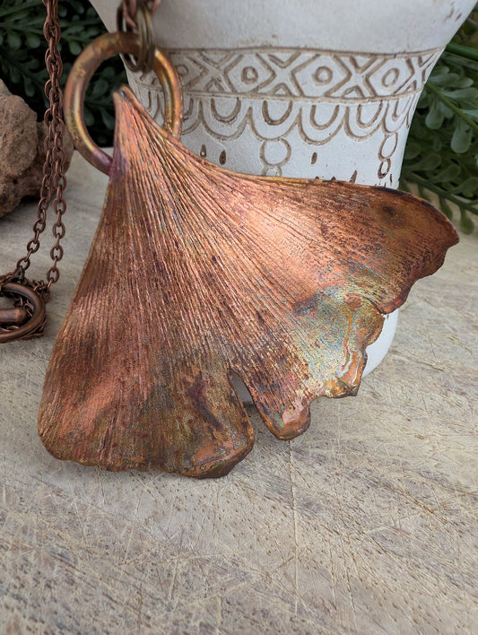 Ginkgo — Waaierblad Studie (Specimen Nr. 007)