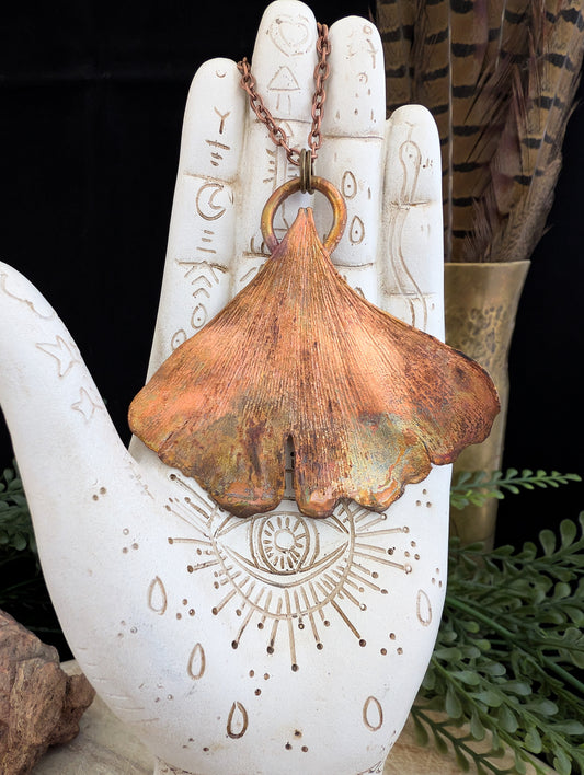 Ginkgo — Waaierblad Studie (Specimen Nr. 007)