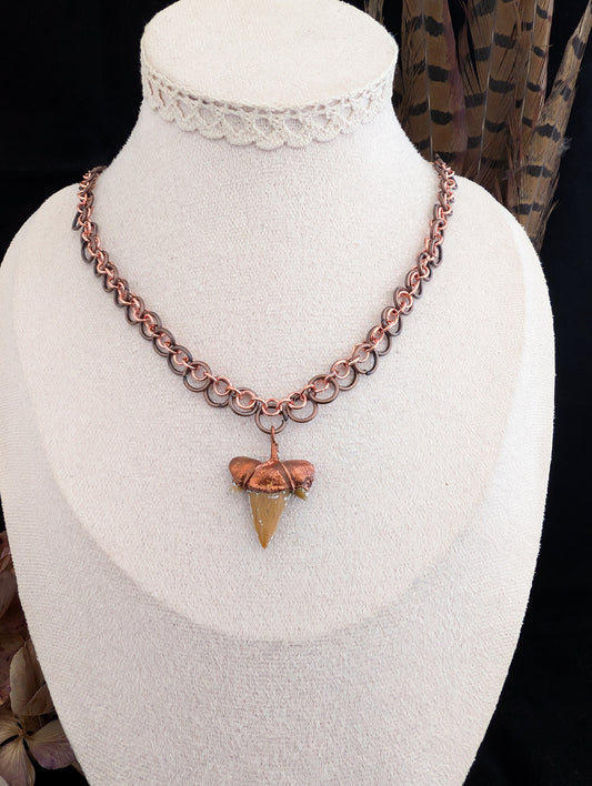 The Boy’s Treasure