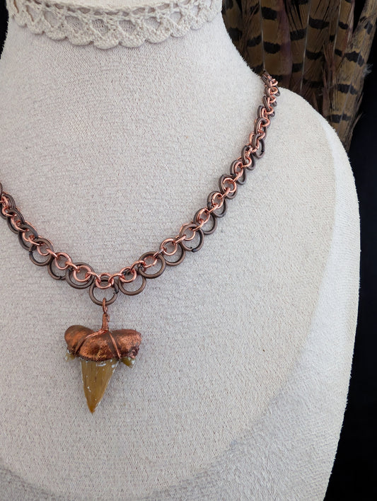 The Boy’s Treasure