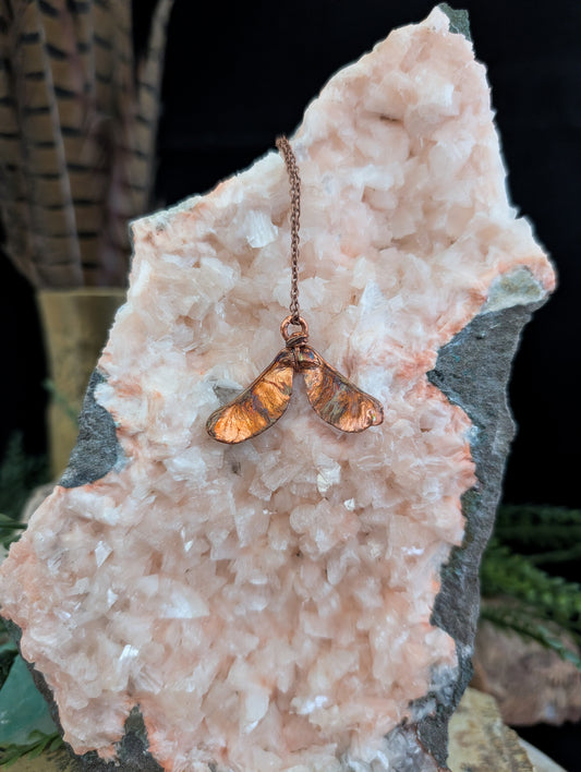 Esdoorn — Studie zaadvorm (Exemplaar nr. 002)