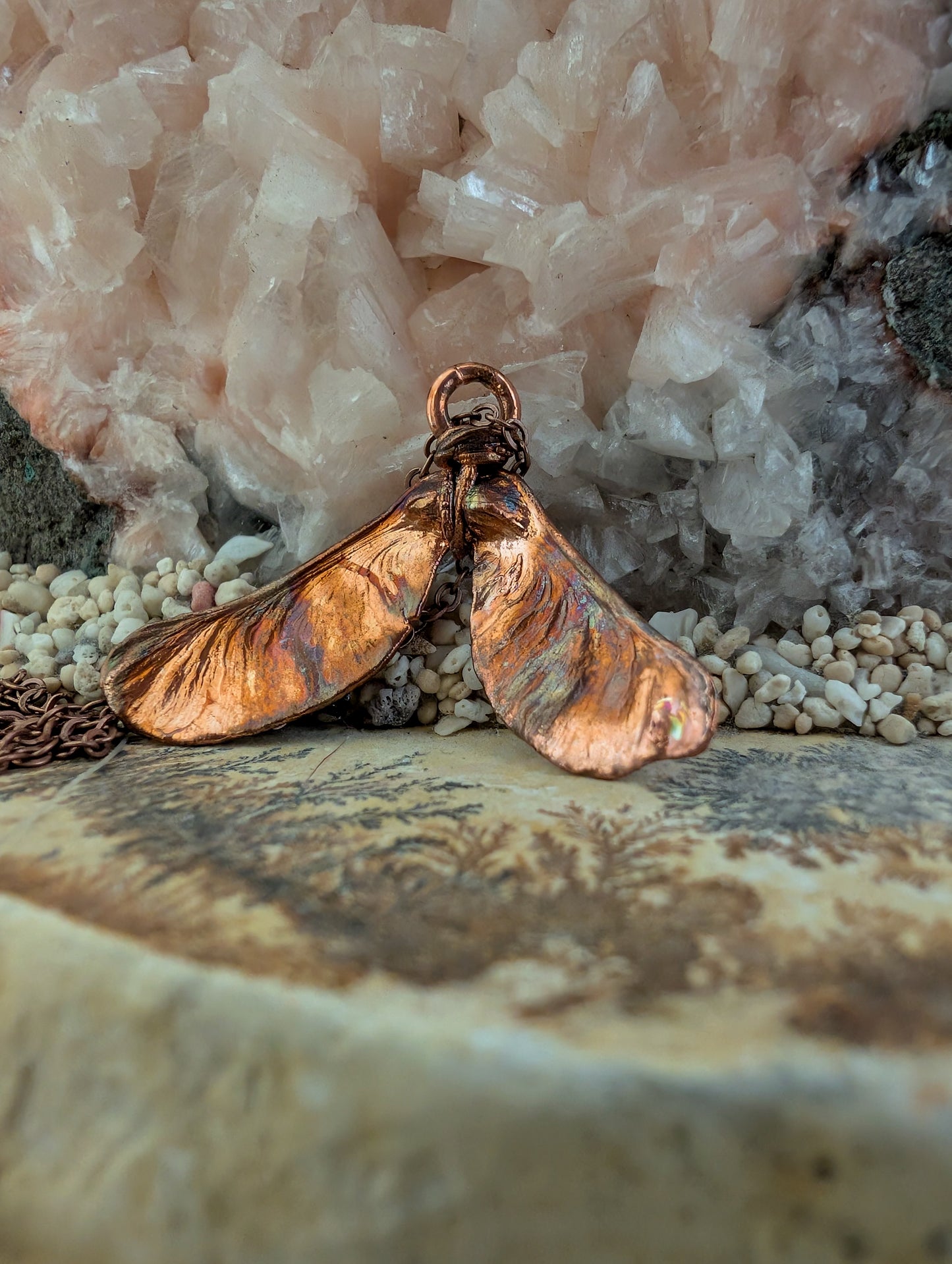 Maple — Seed Form Study (Specimen No. 002)