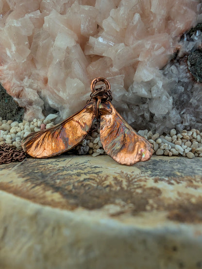 Maple — Seed Form Study (Specimen No. 002)
