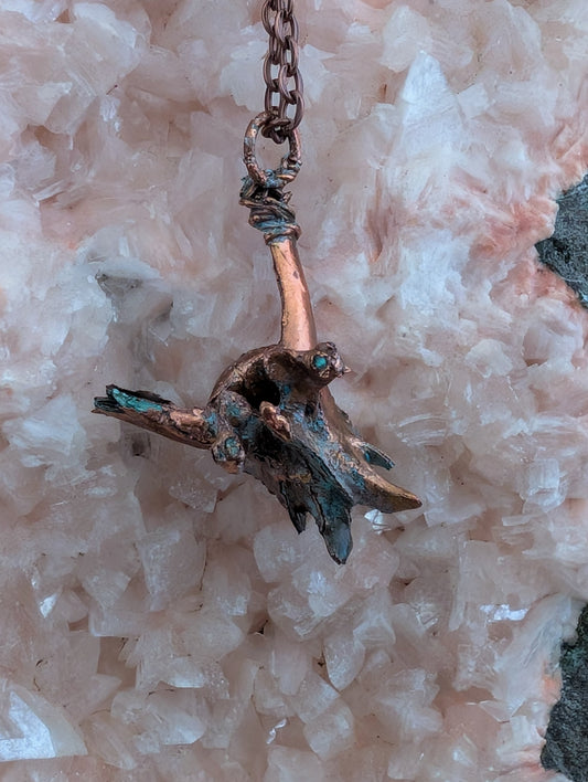 Botfragment — Osteologisch Onderzoek (Exemplaarnummer 002)