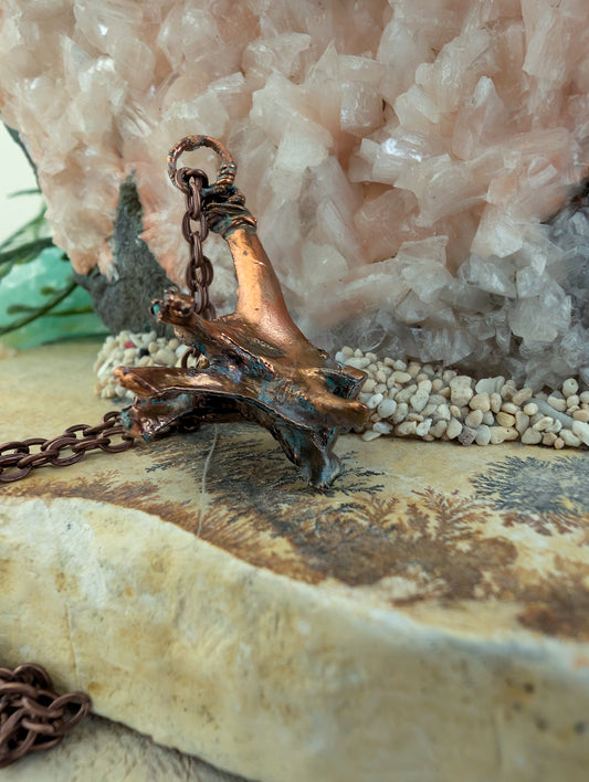 Botfragment — Osteologisch Onderzoek (Exemplaarnummer 002)